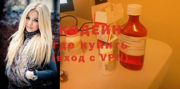 шишки Дмитриев