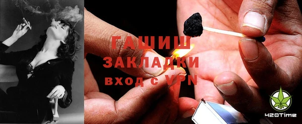гидра Дмитров