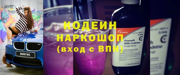 шишки Дмитриев