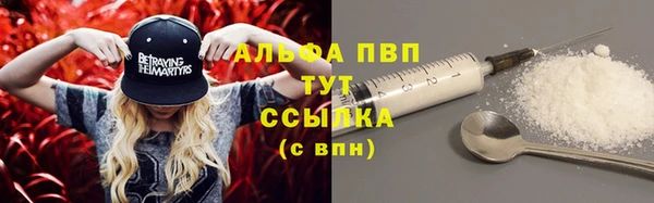 шишки Дмитриев