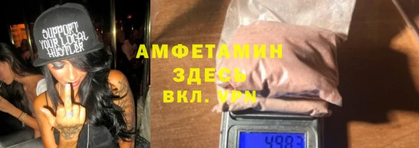 шишки Дмитриев
