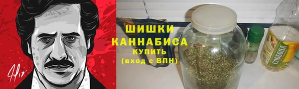 шишки Дмитриев