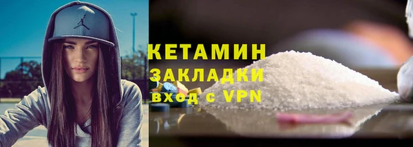 шишки Дмитриев