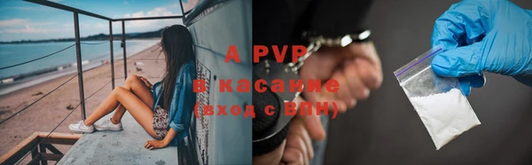 гидра Дмитров