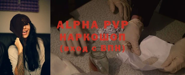 шишки Иннополис