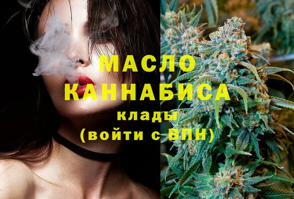 шишки Дмитриев