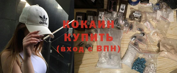 гидра Дмитров