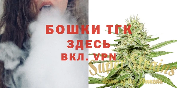 шишки Дмитриев