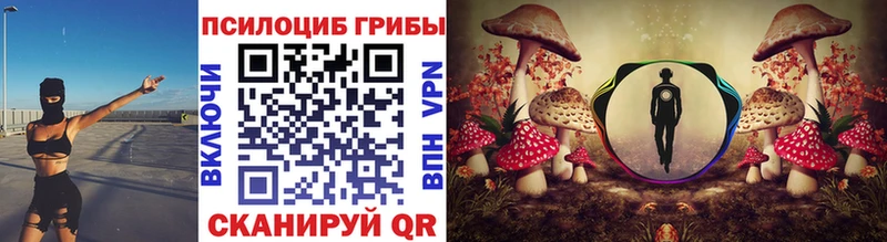 Купить где  Демидов  Псилоцибиновые грибы MAGIC MUSHROOMS 